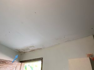 moisture intrusion