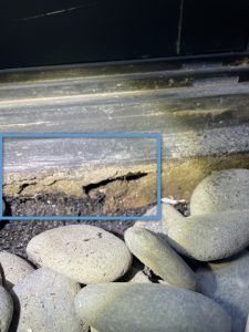 moisture intrusion 4