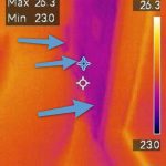 Thermal Moisture Intrusion