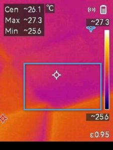 moisture intrusion plafon