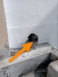 unsealed exterior penetration and improper drainage